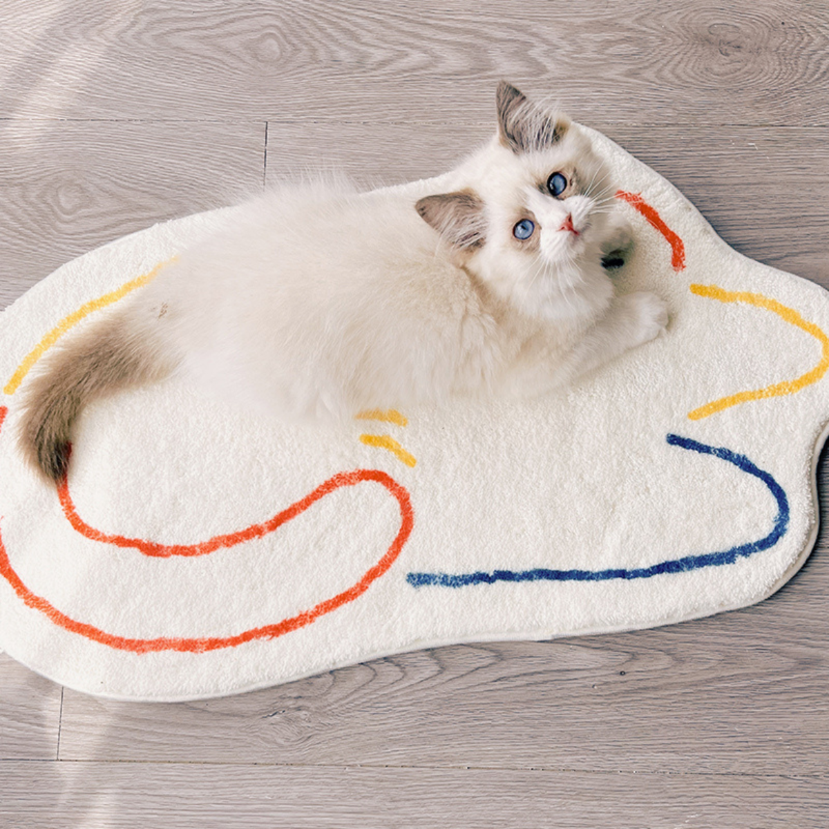 Pet sleeping mat soft non-stick hair machine can wash rug